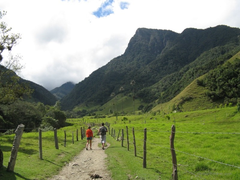 Salento Cocora valley path trail fence