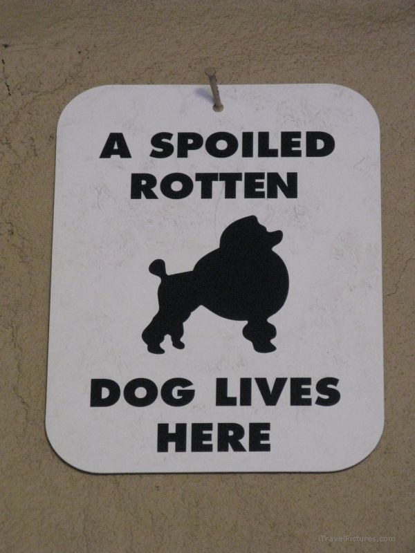 spoiled rotten dog sign