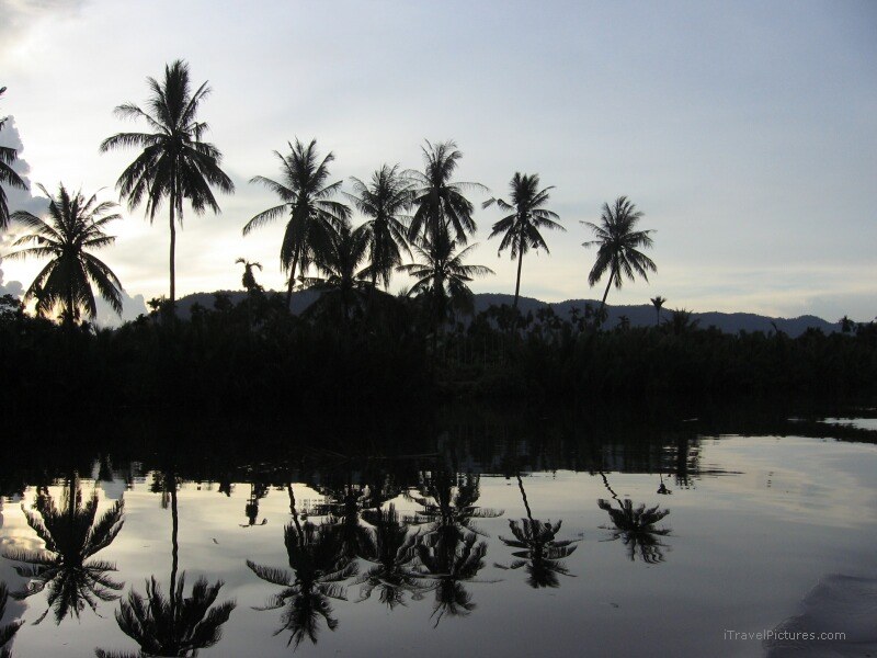 Kampot river reflection tree trees