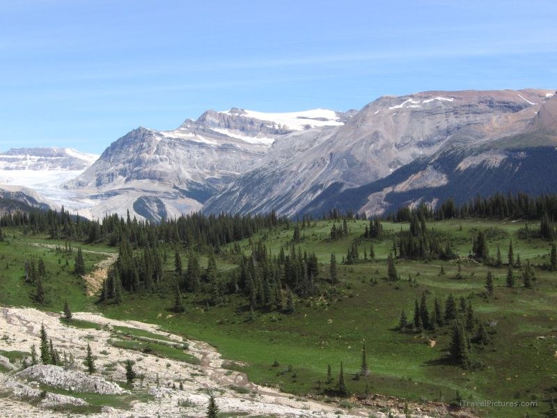 Yoho national park Iceline trail path mountain