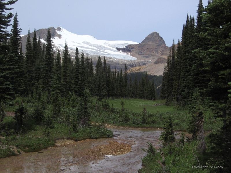 Yoho national park creek