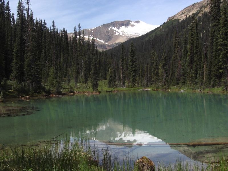 Yoho national park Iceline lake reflection