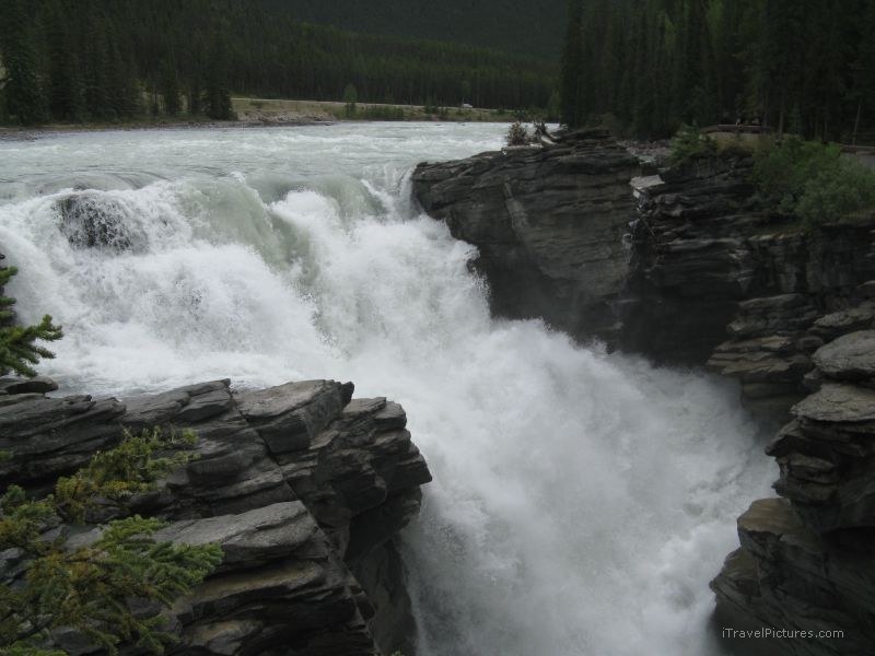 Jasper national park Athabasca waterfall