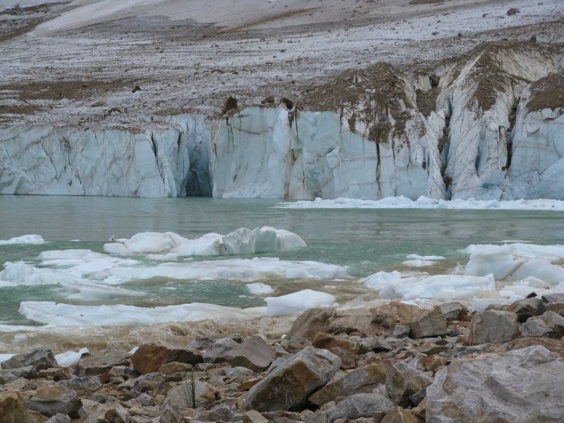 Jasper national park iceberg glacier lake