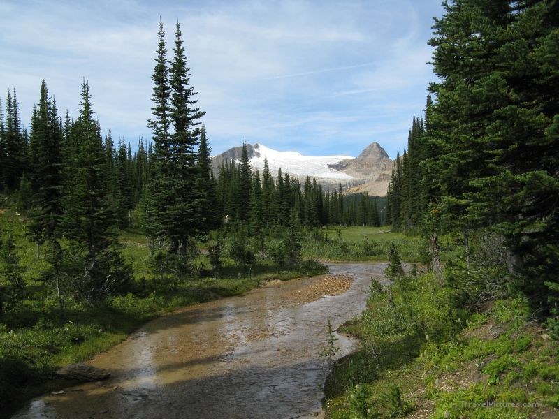 Yoho national park creek