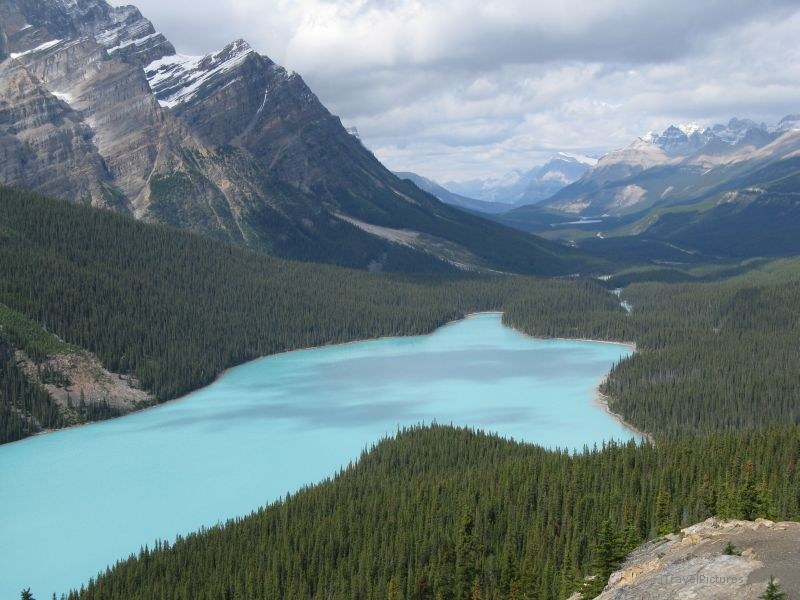 Banff national park Peyto lake mountain mountains forest