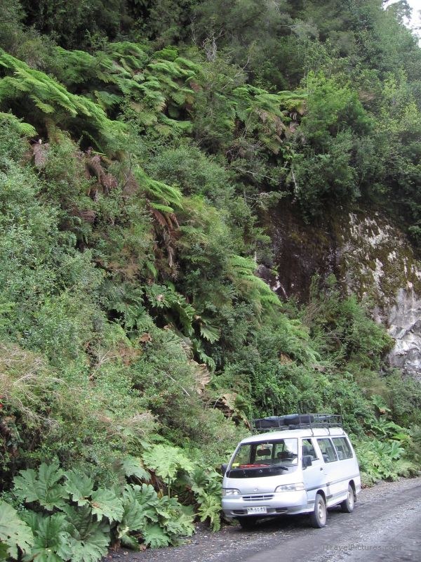 Parque PumalÃ­n van road Pumalin