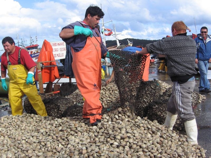 QuellÃ³n fishermen oyster oysters shellfish