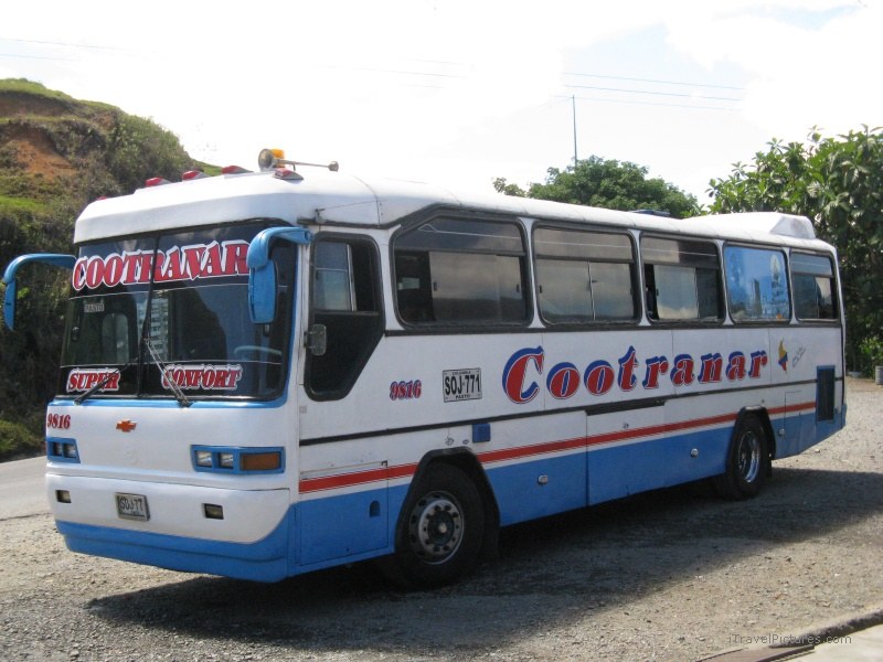 bus