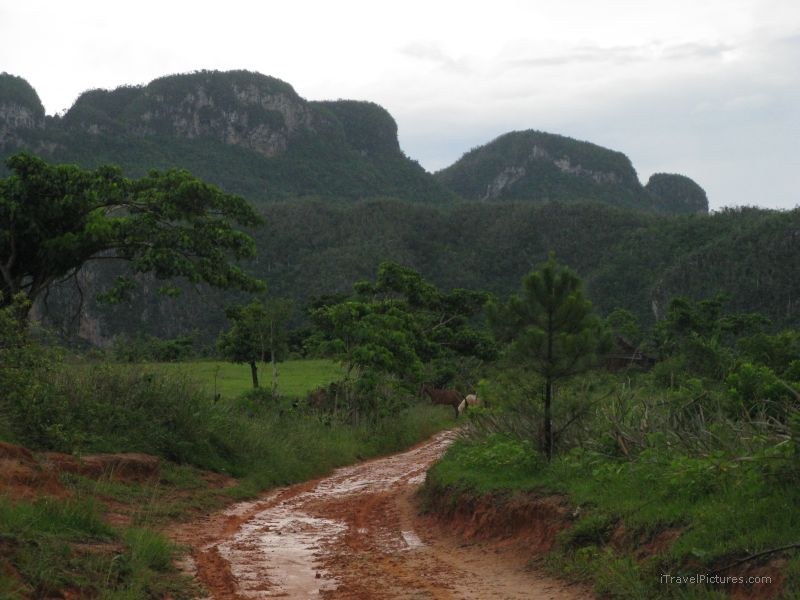 Viñales road mogote mud