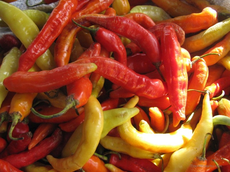 pepper red Otavalo peppers