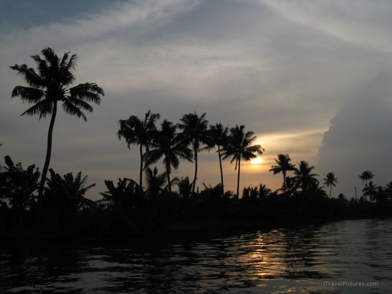 Keralan backwaters sunset tree trees water