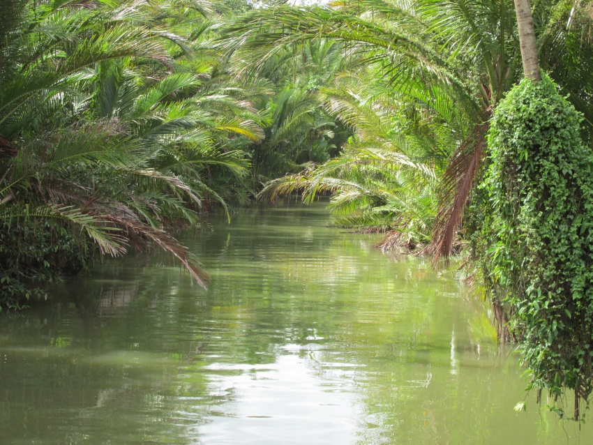 ater trees green river