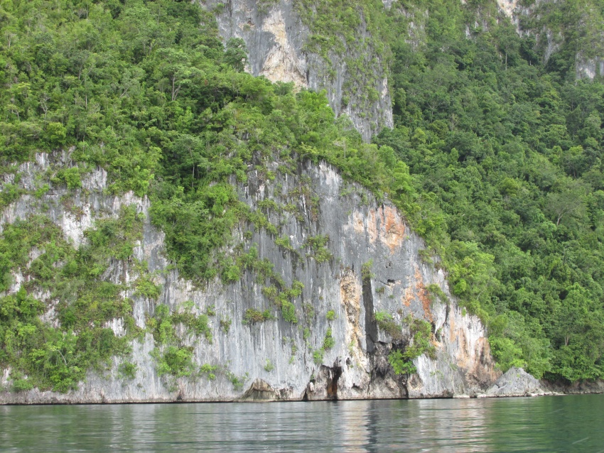 liff cliffs green