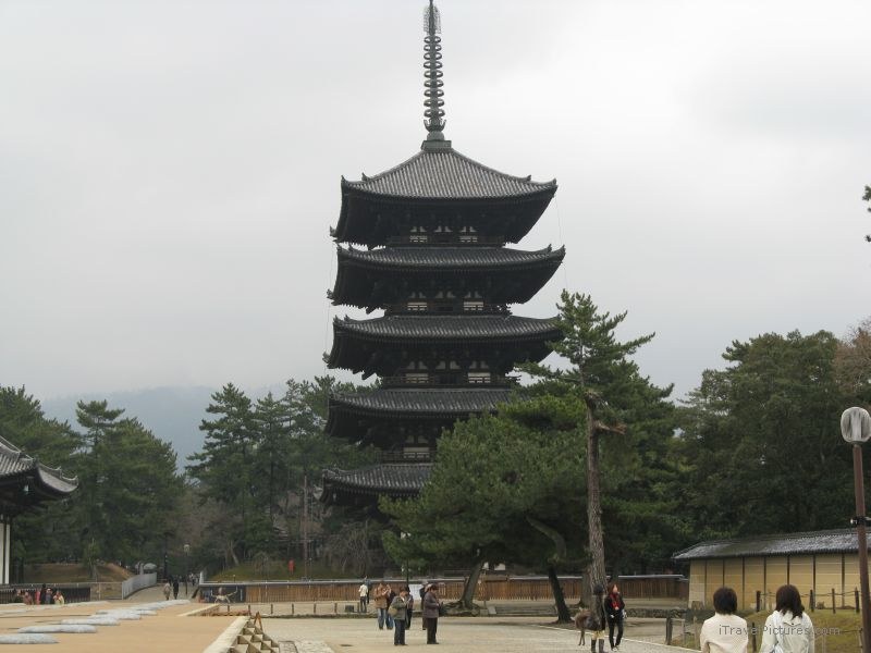 Nara pagoda Kofuku-ji temple