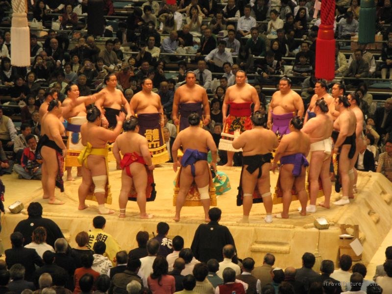 Osaka prefectural sumo tournament sport