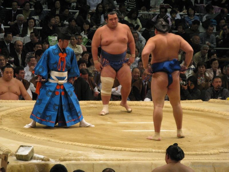Osaka prefectural sumo tournament sport