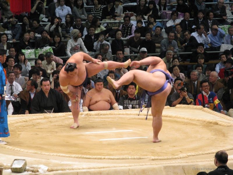 Osaka prefectural sumo tournament sport
