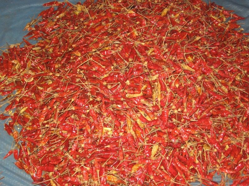 Luang  Nam Tha peppers pepper market