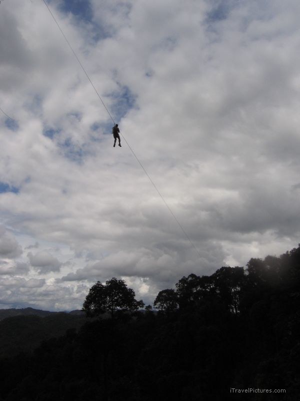 Gibbon Experience zipline cloud clouds