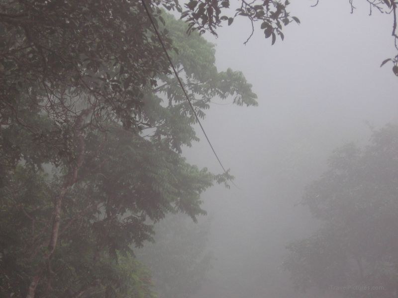 Gibbon Experience zipline Bokeo Nature Reserve fog