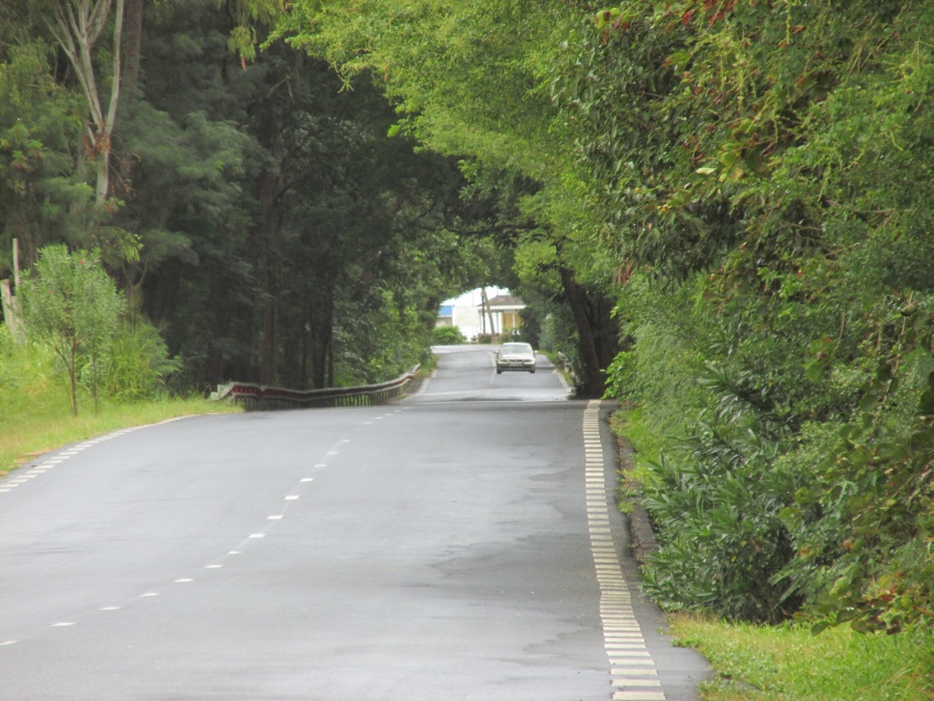 oad car green  pavement highway