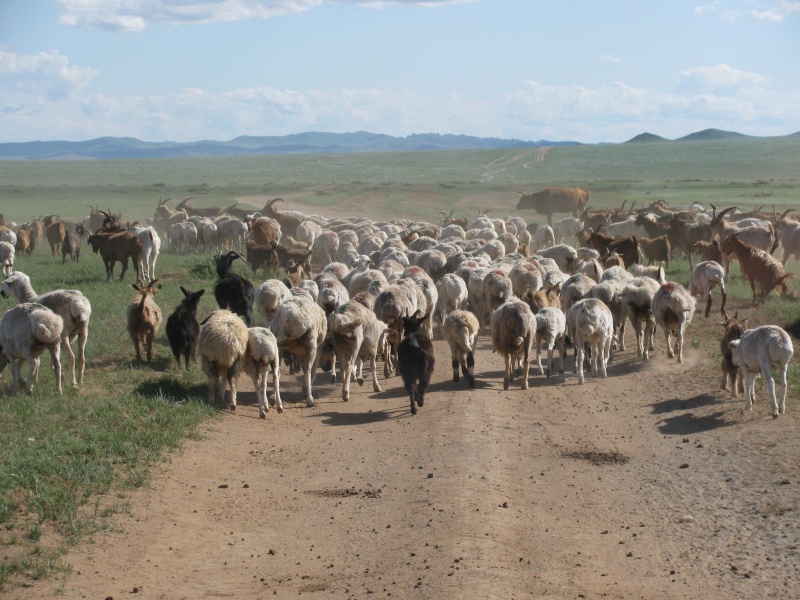 heep road