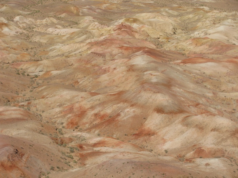 and brown dune dunes