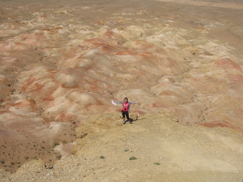 and brown dune dunes