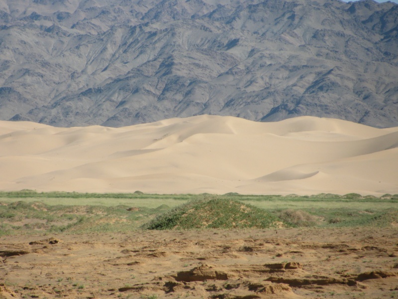 and dune dunes Khongoriin Els