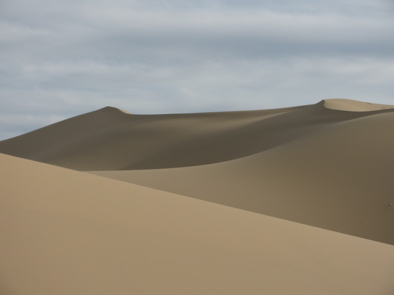 and dune dunes Khongoriin Els