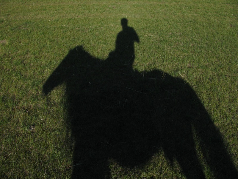 orse shadow me chris