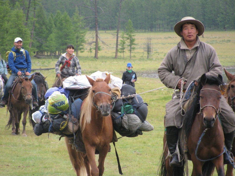 orse horses riding