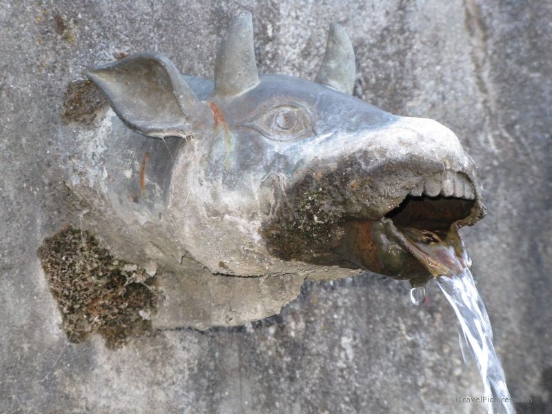 Jomsom trek cow fountain