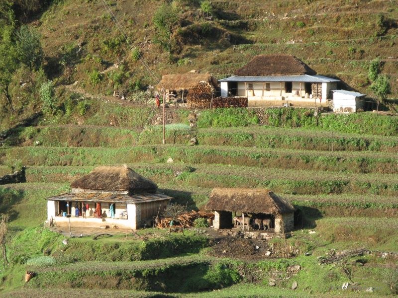 Jomsom trek house houses terrace terraces Gurjung Tolka