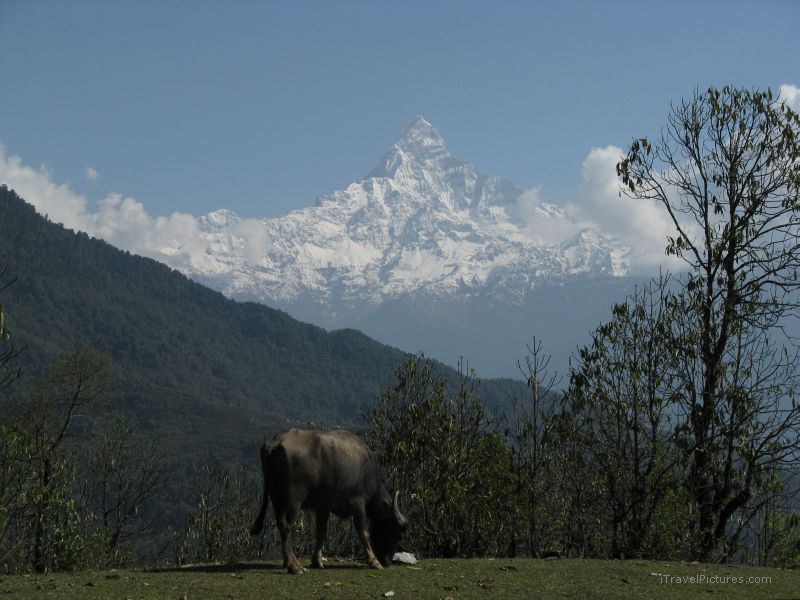 Jomsom trek mountain