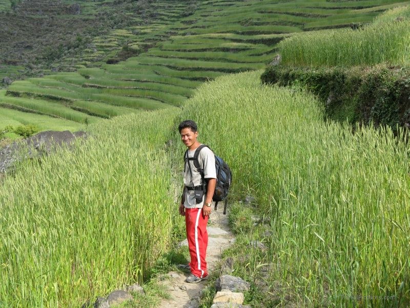 Chaliss terrace terraces guide tej wheat field path trail