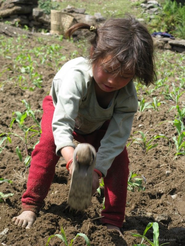 Chaliss girl working farm farming