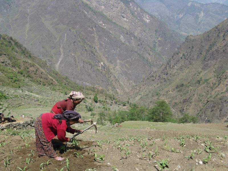 Chaliss women working work woman farming farm