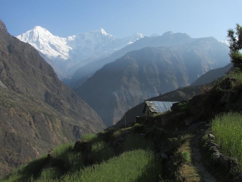 ountain view