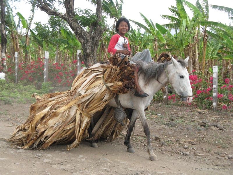 Maderas girl horse El Porvenir