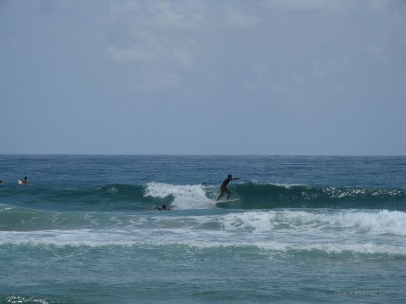 Bastimentos Wizard beach surf surfing waves