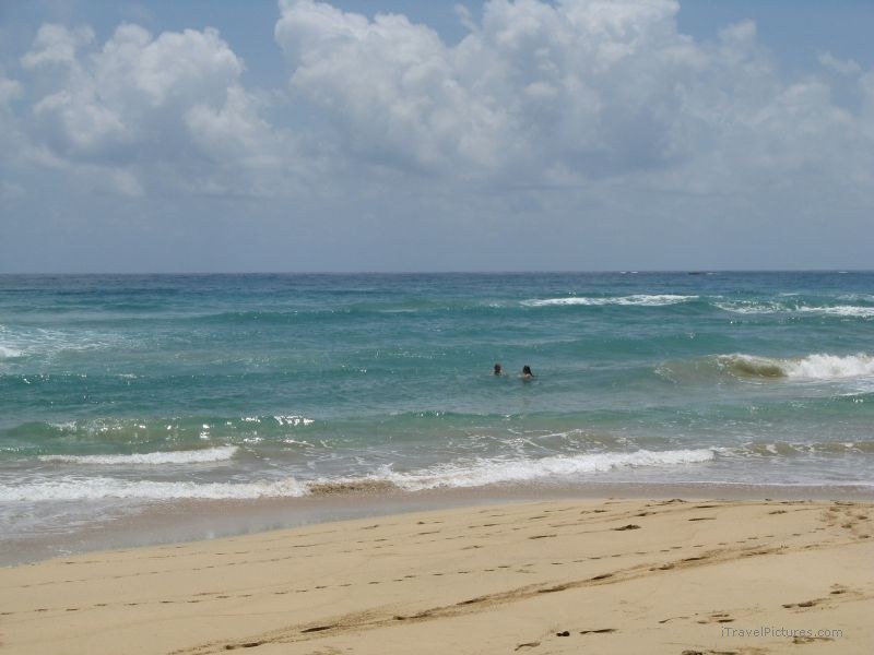 Bastimentos Wizard beach swimming wave waves