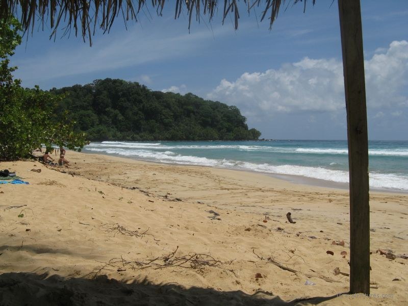 Bastimentos Wizard beach