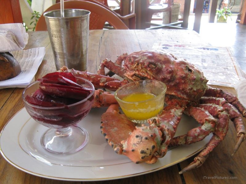Bastimentos lobster food beet milkshake
