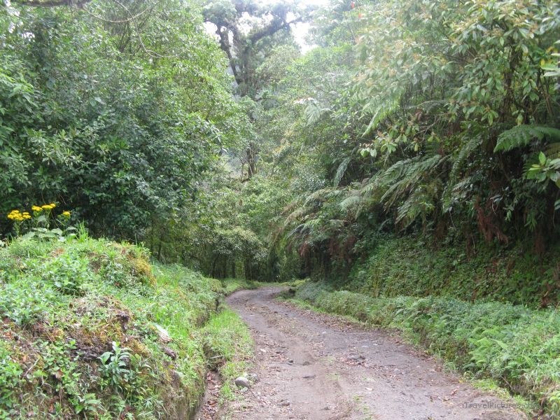 Boquete trail