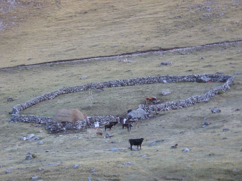 Huayhuash stone fence