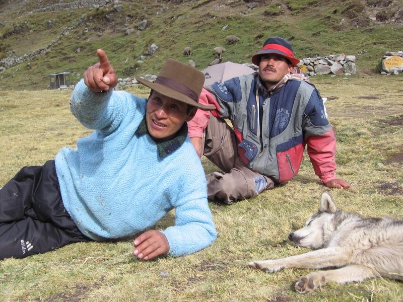 guide guides pointing hat