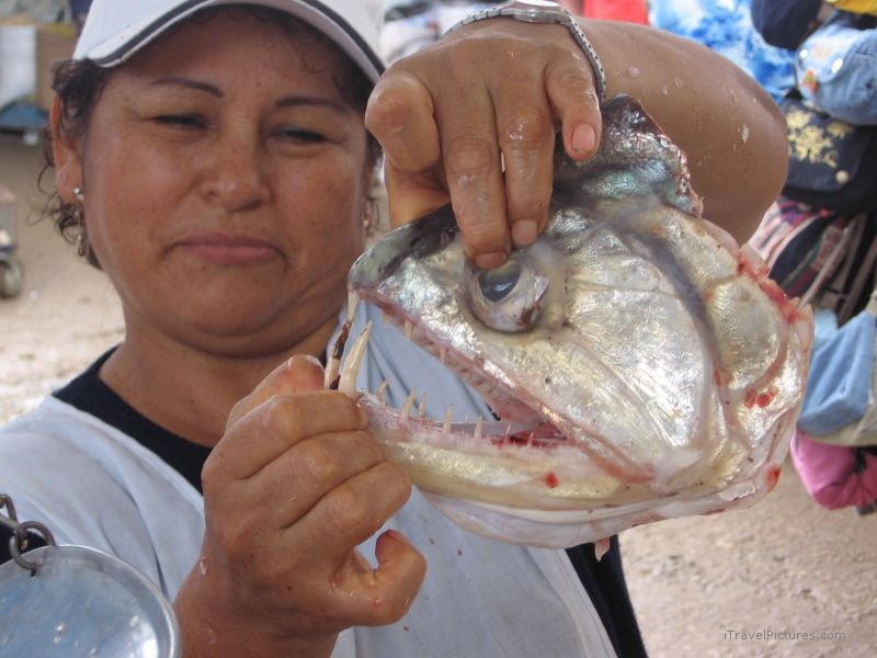 market woman holding fish dead piranha