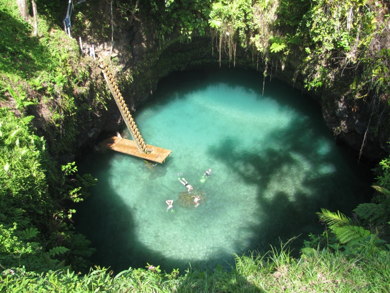 wimming ladder green water